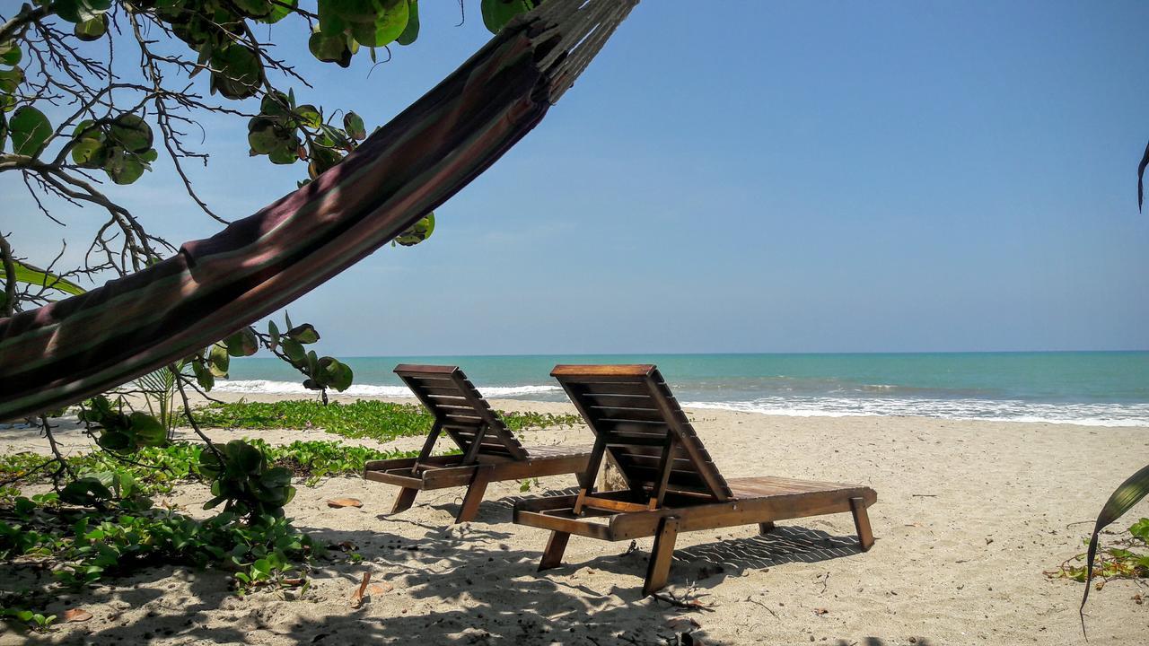 La Sirena Eco Hotel & Retreat 帕洛米诺 外观 照片