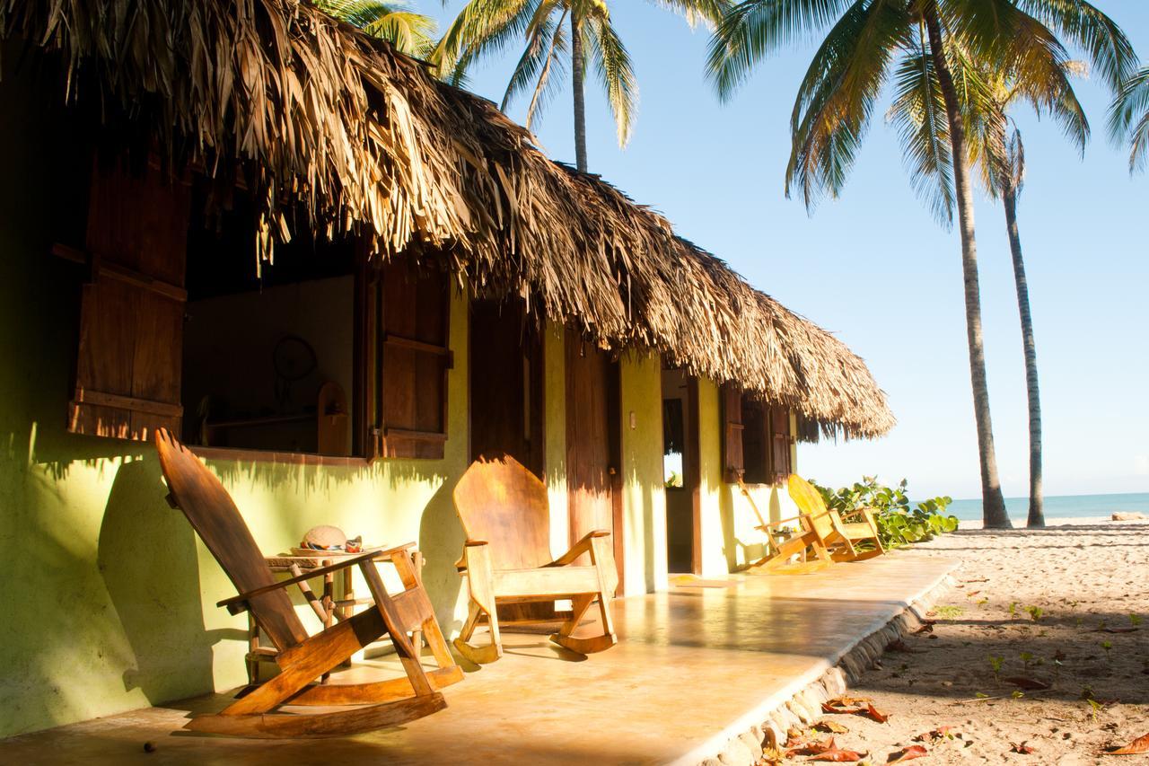 La Sirena Eco Hotel & Retreat 帕洛米诺 外观 照片