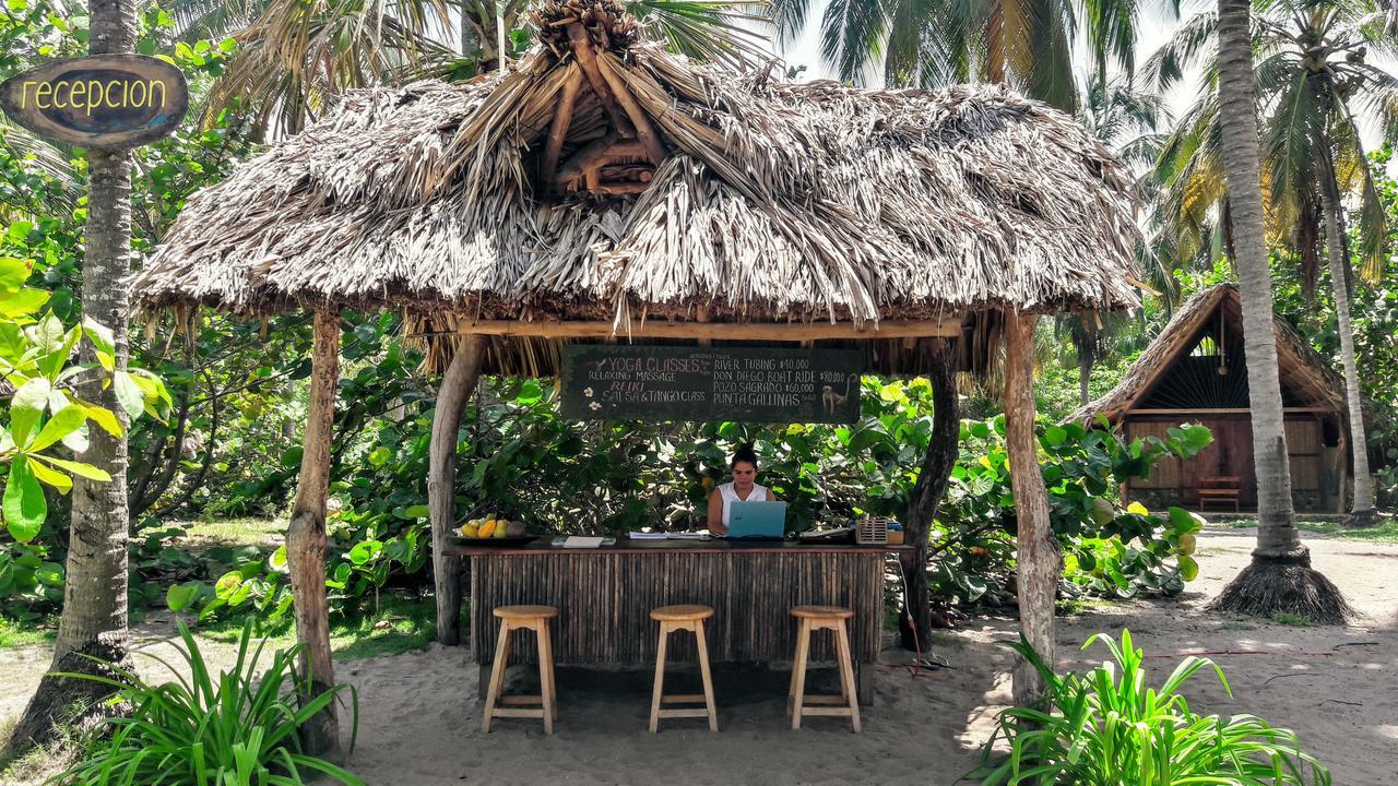La Sirena Eco Hotel & Retreat 帕洛米诺 外观 照片