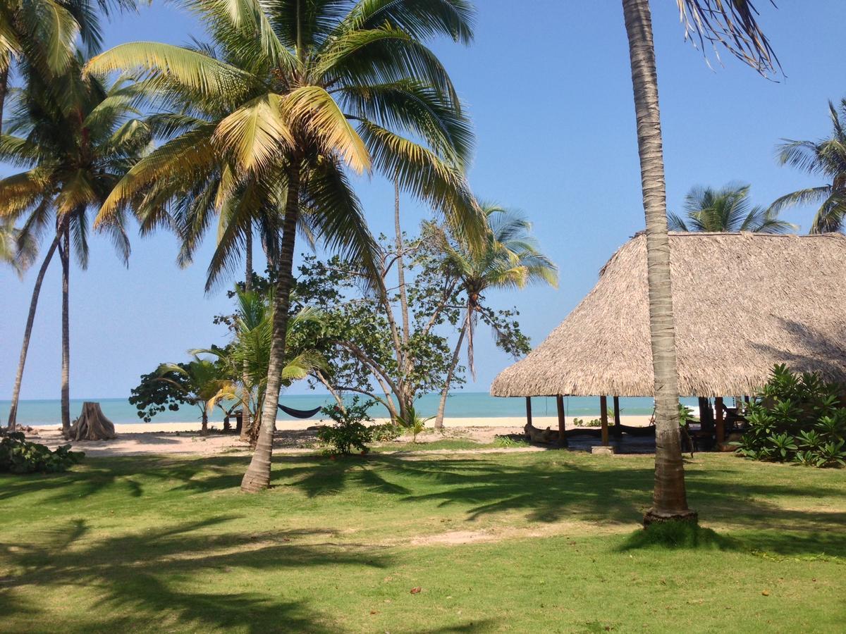 La Sirena Eco Hotel & Retreat 帕洛米诺 外观 照片