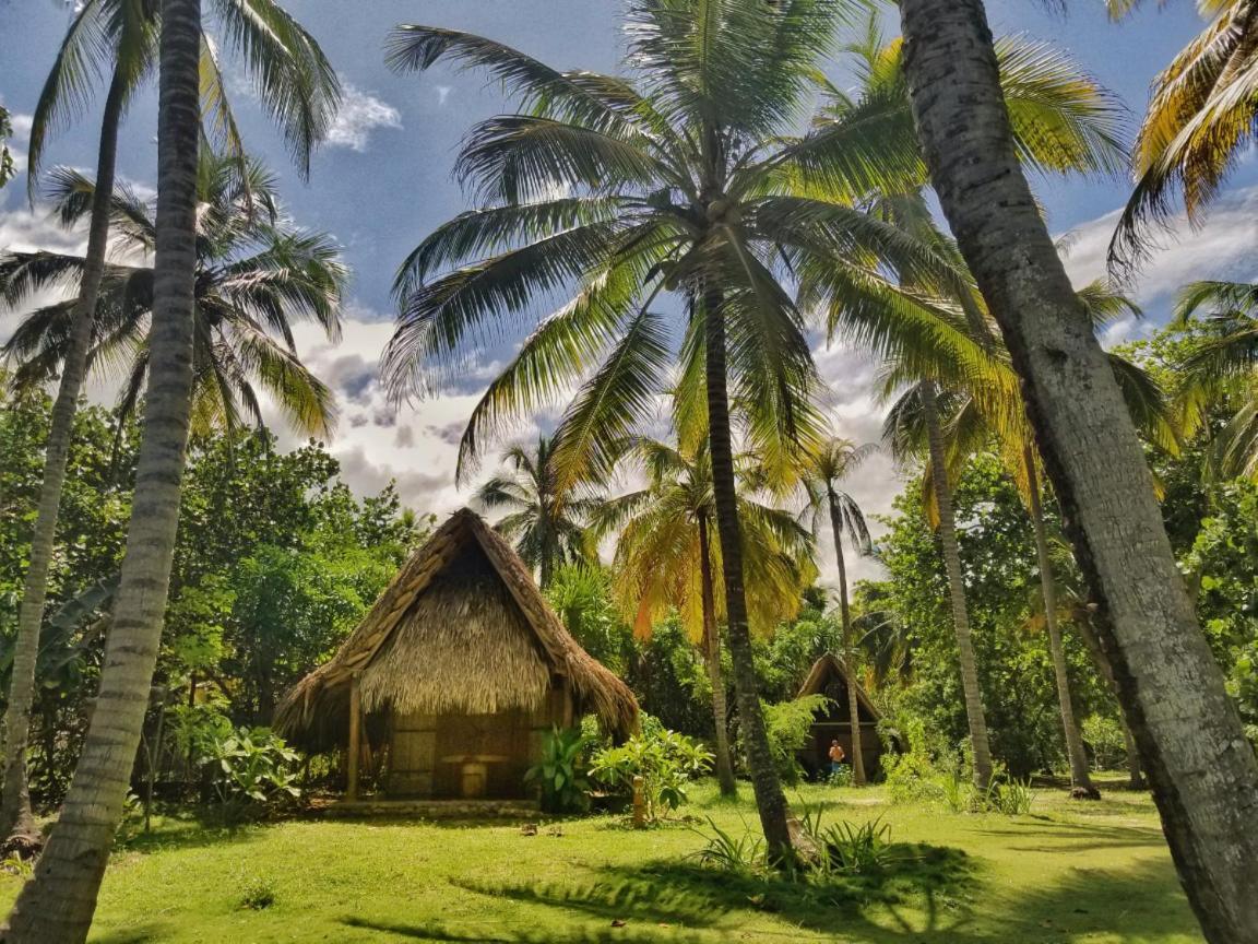 La Sirena Eco Hotel & Retreat 帕洛米诺 外观 照片
