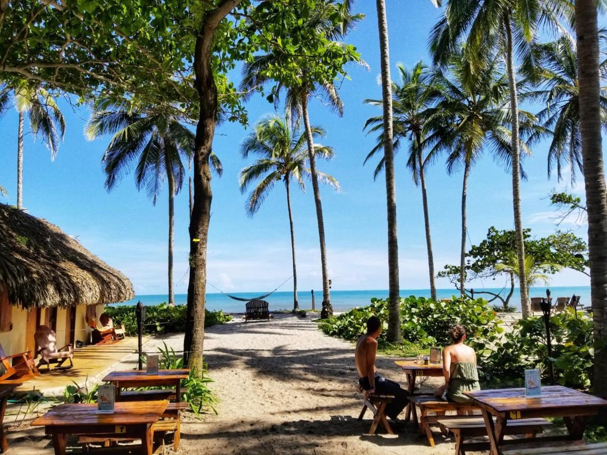 La Sirena Eco Hotel & Retreat 帕洛米诺 外观 照片