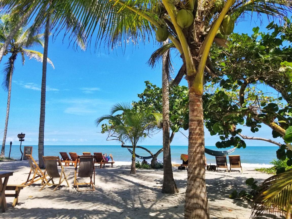 La Sirena Eco Hotel & Retreat 帕洛米诺 外观 照片